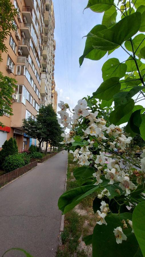 Просторі Апартаменти Kiev Exterior foto